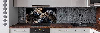 Platte für Küchenrückwand Zwei Leoparden