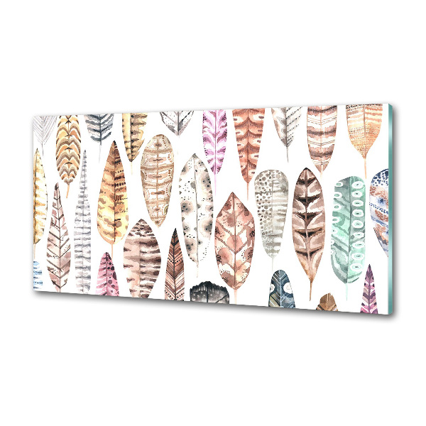 Glasrückwand für die küche Bunte Federn