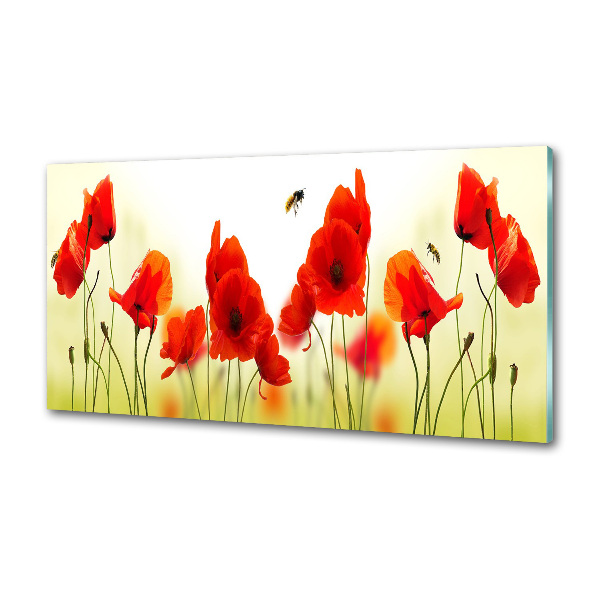 Glasrückwand für die küche Mohnblumen