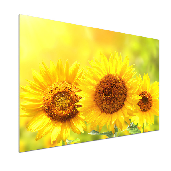 Platte für Küchenrückwand Sonnenblumen