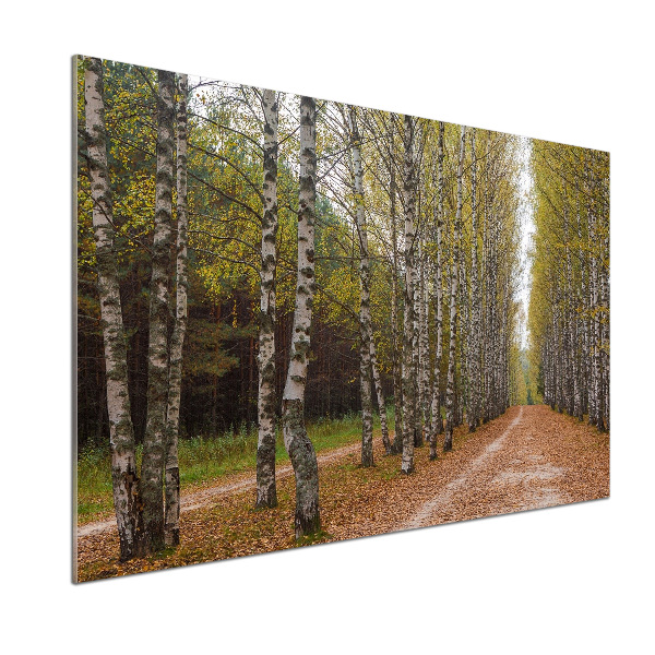 Küchen wandpaneel Birkenallee