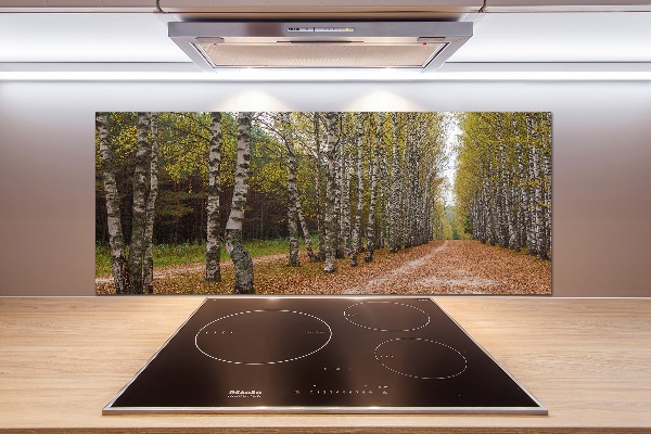 Küchen wandpaneel Birkenallee