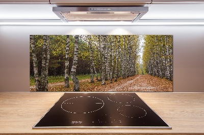 Küchen wandpaneel Birkenallee