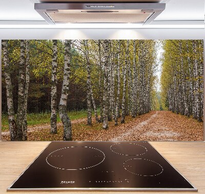 Küchen wandpaneel Birkenallee