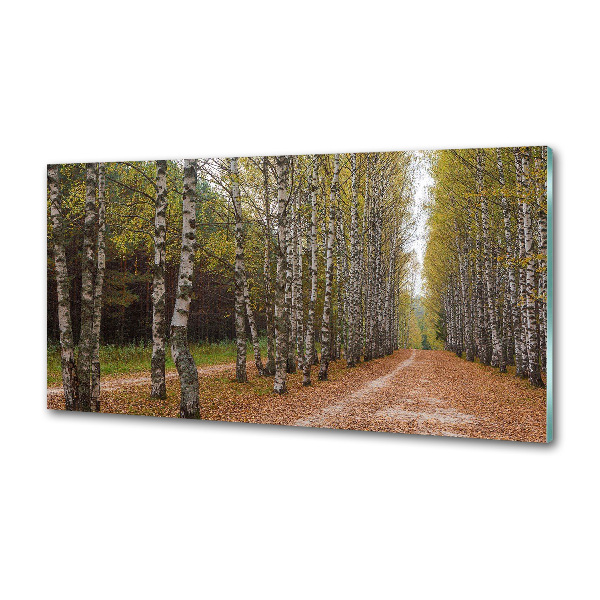 Küchen wandpaneel Birkenallee