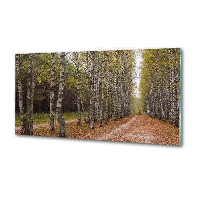 Küchen wandpaneel Birkenallee