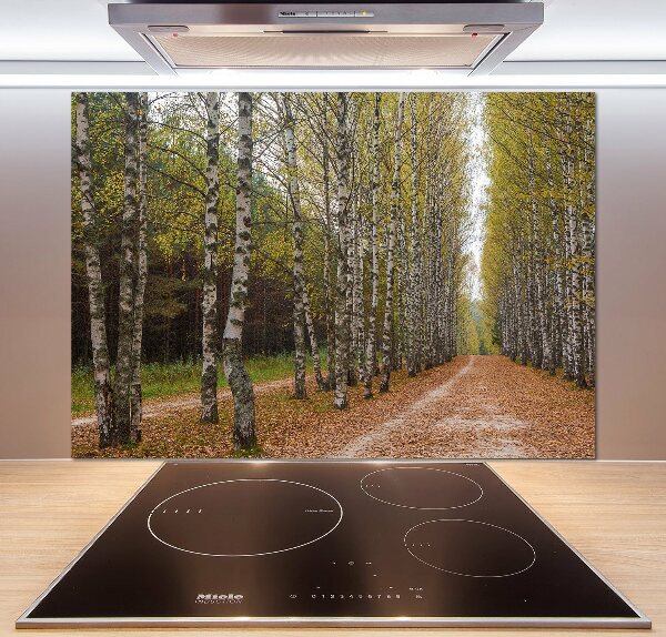 Küchen wandpaneel Birkenallee