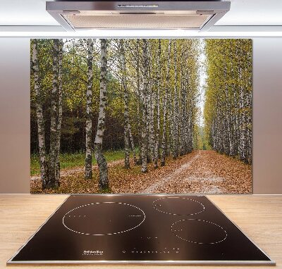 Küchen wandpaneel Birkenallee