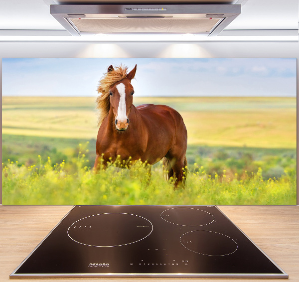 Küchen wandpaneel Braunes Pferd