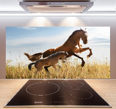 Glasrückwand für die küche Stute mit Fohlen