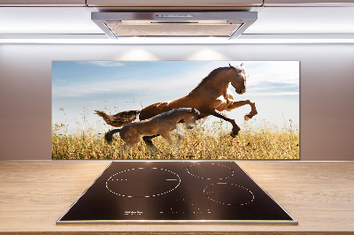 Glasrückwand für die küche Stute mit Fohlen