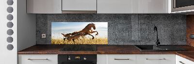 Glasrückwand für die küche Stute mit Fohlen