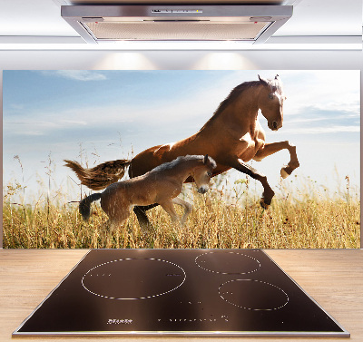 Glasrückwand für die küche Stute mit Fohlen