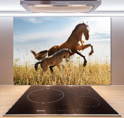 Glasrückwand für die küche Stute mit Fohlen