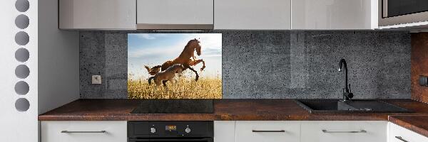 Glasrückwand für die küche Stute mit Fohlen