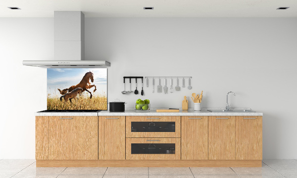 Glasrückwand für die küche Stute mit Fohlen