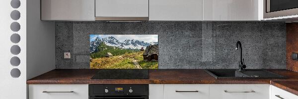 Glasrückwand für die küche Weiden im Tatra-Gebirge