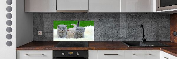 Platte für Küchenrückwand Drei Katzen auf einer Decke