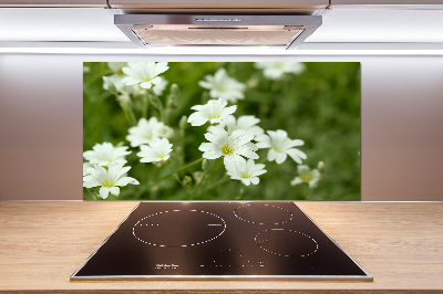 Küchen wandpaneel Frühlingsblumen