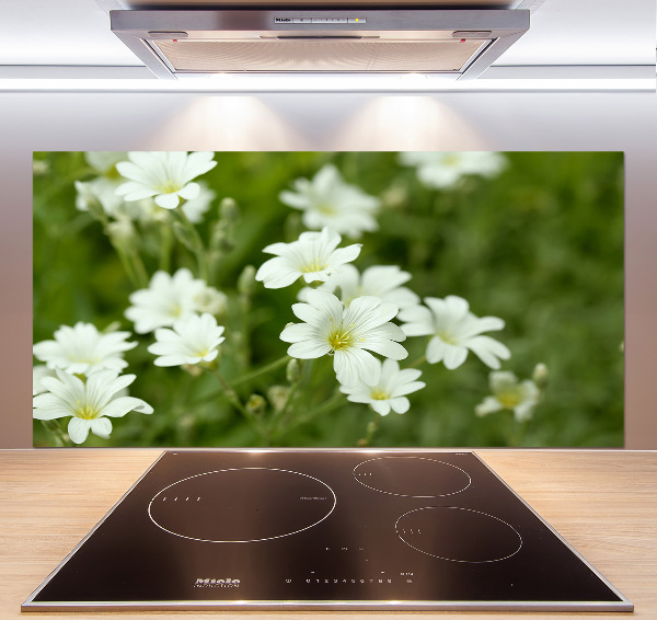 Küchen wandpaneel Frühlingsblumen