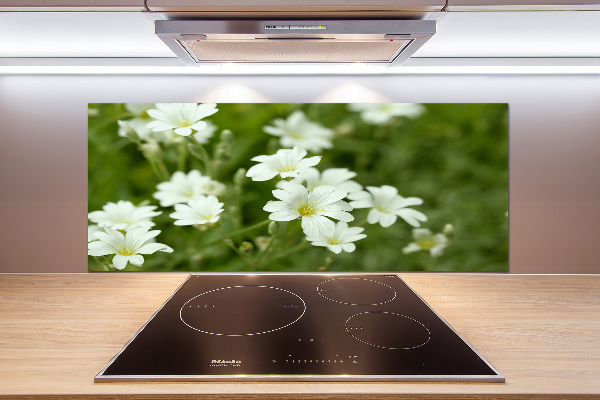 Küchen wandpaneel Frühlingsblumen