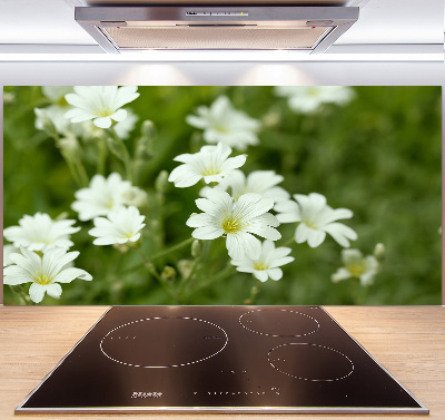 Küchen wandpaneel Frühlingsblumen