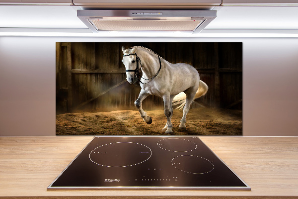 Platte für Küchenrückwand Weißes Pferd im Stall