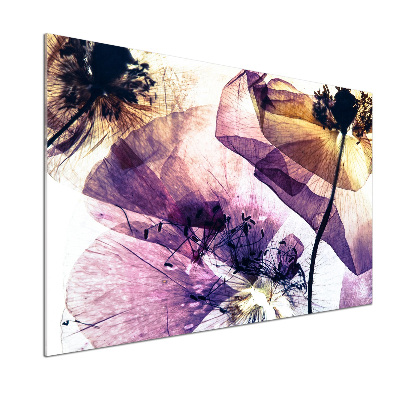 Glasrückwand für die küche Getrocknete Mohnblumen