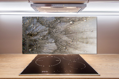 Küchen wandpaneel Löwenzahnsamen