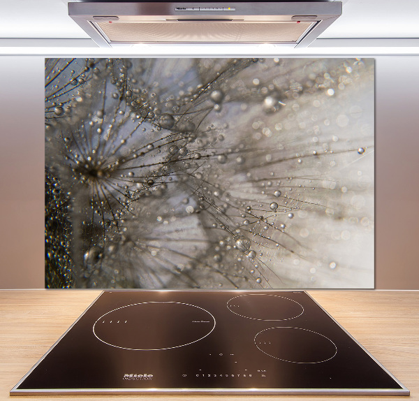 Küchen wandpaneel Löwenzahnsamen