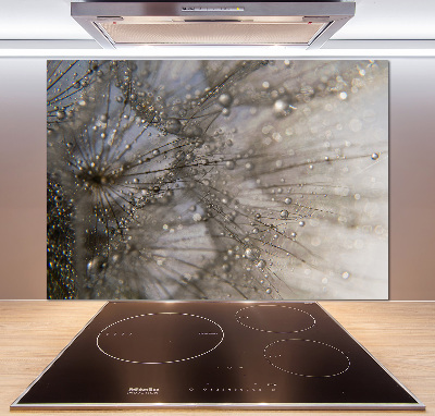 Küchen wandpaneel Löwenzahnsamen