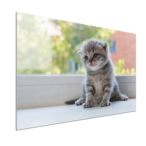 Glasrückwand für die küche Eine kleine Katze am Fenster