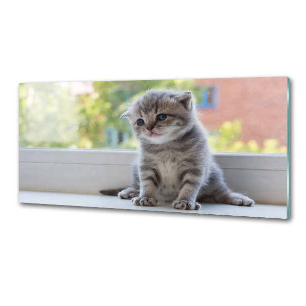 Glasrückwand für die küche Eine kleine Katze am Fenster