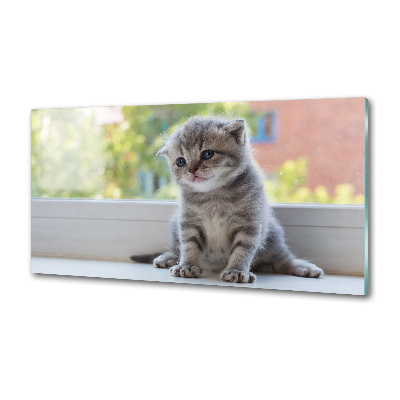 Glasrückwand für die küche Eine kleine Katze am Fenster