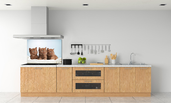 Küchen wandpaneel Kätzchen auf einem Handtuch