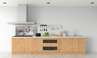 Glasrückwand für die küche Katze mit Brille