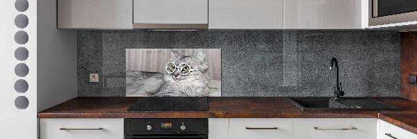 Glasrückwand für die küche Katze mit Brille