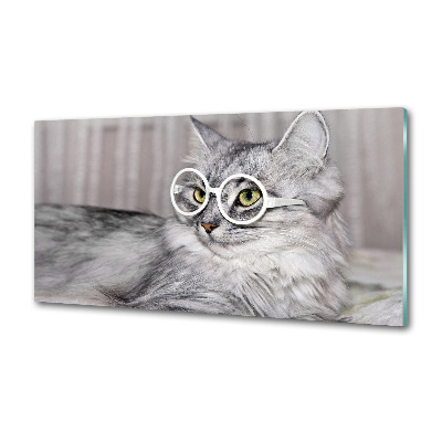 Glasrückwand für die küche Katze mit Brille