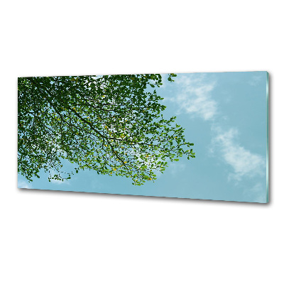 Glasrückwand für die küche Blätter am Himmel