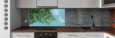 Glasrückwand für die küche Blätter am Himmel