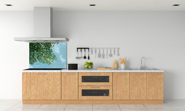 Glasrückwand für die küche Blätter am Himmel