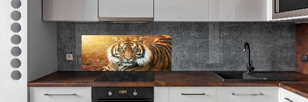 Platte für Küchenrückwand Bengal-Tiger