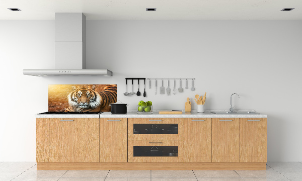 Platte für Küchenrückwand Bengal-Tiger