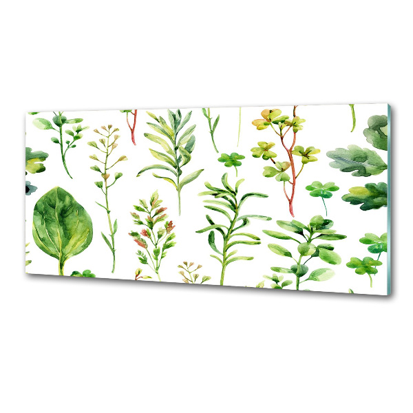 Platte für Küchenrückwand Kräuter und Unkräuter