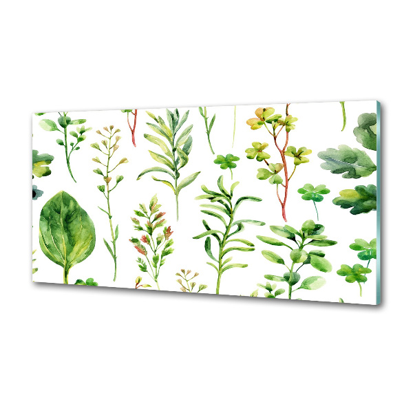 Platte für Küchenrückwand Kräuter und Unkräuter