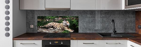Küchen wandpaneel Tiger auf einem Felsen