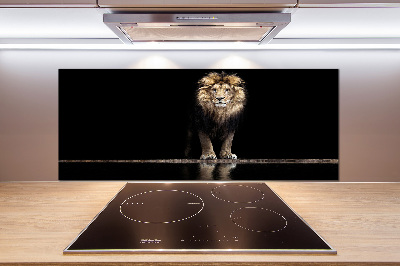 Glasrückwand für die küche Porträt eines Löwen