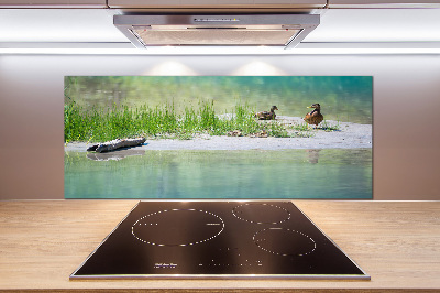 Platte für Küchenrückwand Enten am Wasser