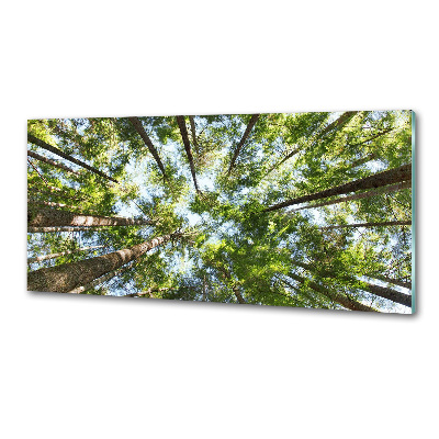 Küchen wandpaneel Baumkrone