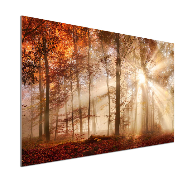 Küchen wandpaneel Nebel im Herbstwald